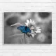 Vibrant Blue Butterfly Sunflower Canvas Print