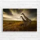 Majestic Giraffes Safari Landscape Canvas Print