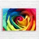 Vibrant Rainbow Rose Dewdrops Canvas Print