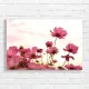 Pink Cosmos Field Serenity Canvas Print