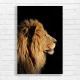 Majestic Lion Profile Wildlife Canvas Print