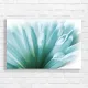 Serene Blue Petal Bloom Canvas Print