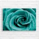 Teal Rose with Dewdrops Canvas Print