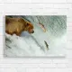 Majestic Bear Hunting Salmon Canvas Print