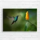 Vibrant Hummingbird & Yellow Flower Canvas Print
