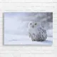 Majestic Snowy Owl in Winter Forest Canvas Print