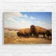Majestic Bison Herd Plains Canvas Print