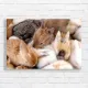 Adorable Baby Bunnies Hugging Canvas Print
