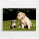 Adorable Puppy & Kitten Friendship Canvas Print