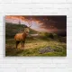 Majestic Stag Highland Sunset Canvas Print