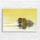 Adorable Ducklings Serene Swim Canvas Print