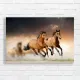 Majestic Horse Gallop Canvas Print