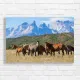 Wild Horses Majestic Mountains Canvas Print