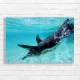 Graceful Penguin Underwater Canvas Print