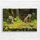 Majestic Wolves in Forest Glow Canvas Print