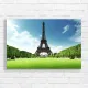 Eiffel Tower Paris France Green Field Canvas Print