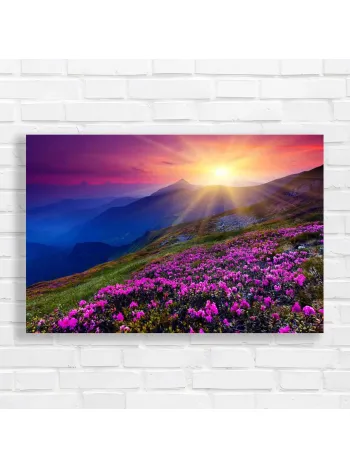 Mountain Sunrise Rhododendron Meadow Canvas Print