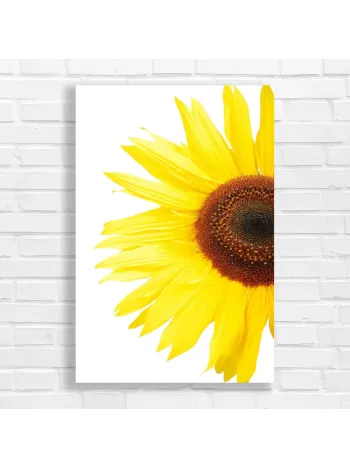 Vibrant Yellow Sunflower Close-Up Canvas Print
