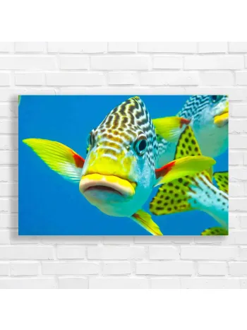 Vibrant Yellow & Blue Tropical Fish Canvas Print