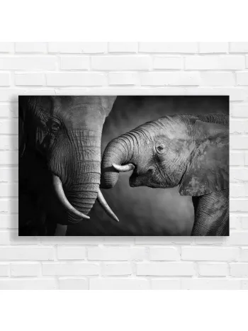 Majestic Elephants BW Close-up Canvas Print