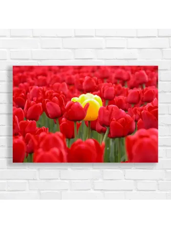 Red Tulips & Yellow Bloom Canvas Print Wall Art