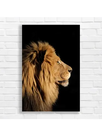 Majestic Lion Profile Wildlife Canvas Print