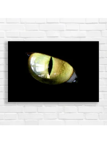 Mystic Green Cat Eye Canvas Print