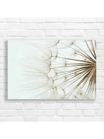 Abstract Dandelion Wish Canvas Print
