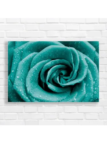 Teal Rose with Dewdrops Canvas Print