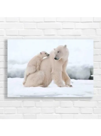 Polar Bear Cub & Mother Arctic Canvas Print