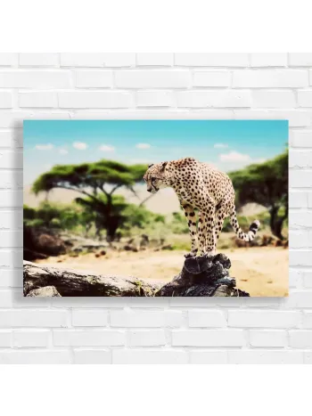 Majestic Cheetah Safari Canvas Print