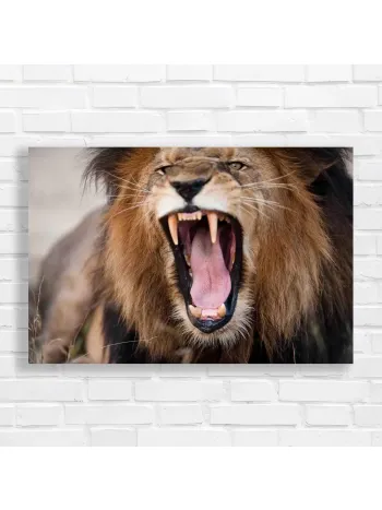 Roaring Lion King of the Jungle Canvas Print