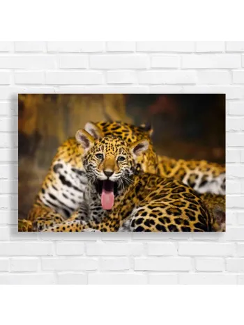 Adorable Jaguar Cub Yawning Canvas Print