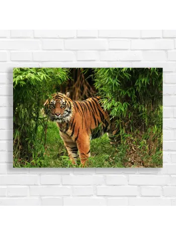 Majestic Tiger in Bamboo Forest Canvas Print