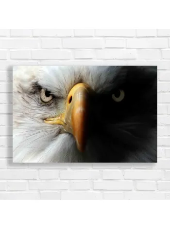 Majestic Eagle Close-Up Canvas Print | Wildlife Art