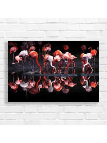 Vibrant Flamingo Flock Sunset Canvas Print