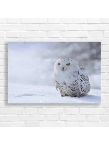 Majestic Snowy Owl in Winter Forest Canvas Print