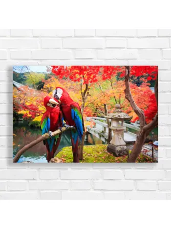 Vibrant Macaws in Autumn Garden Canvas Print