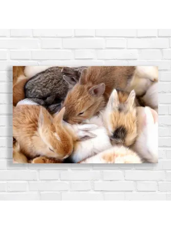 Adorable Baby Bunnies Hugging Canvas Print