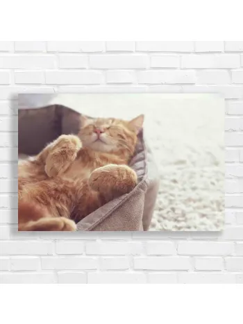 Cozy Orange Cat Nap Canvas Print