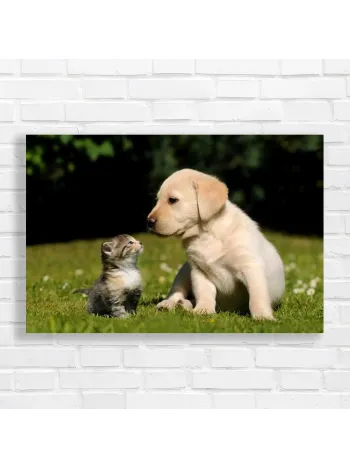 Adorable Puppy & Kitten Friendship Canvas Print