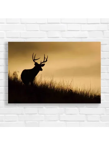 Majestic Buck Silhouette Canvas Print - Wildlife Decor