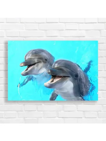 Playful Dolphin Duo Turquoise Delight Canvas Print