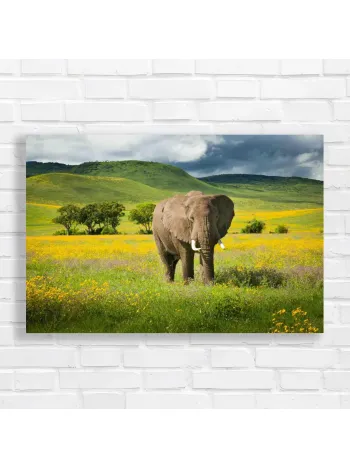 Majestic Elephant Safari Field Canvas Print