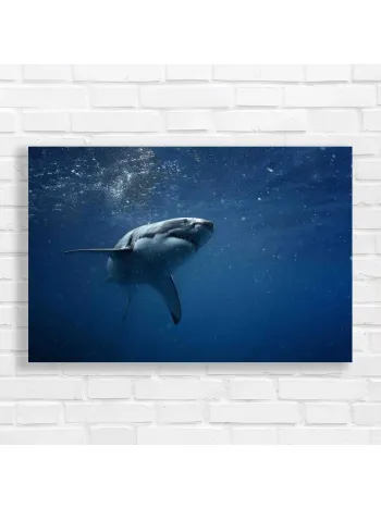 Majestic Great White Shark Canvas Print
