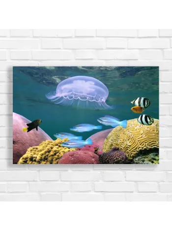 Serene Jellyfish & Coral Reef Canvas Print