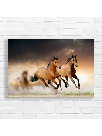 Majestic Horse Gallop Canvas Print