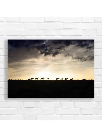 Majestic Horse Herd Sunset Silhouette Canvas Print