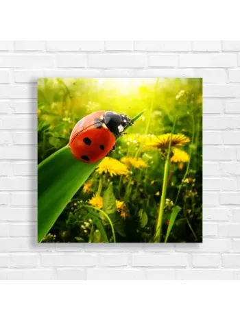 Lucky Ladybug Nature Garden Canvas Print