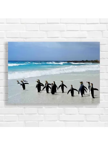 King Penguins Beach Scene Canvas Print